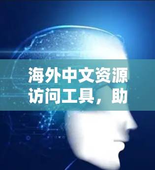 海外中文资源访问工具，助力国际通信高质量发展