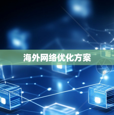 海外网络优化方案